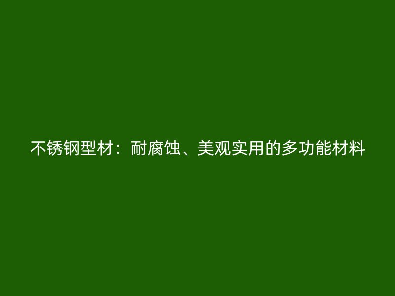 不銹鋼型材：耐腐蝕、美觀實用的多功能材料